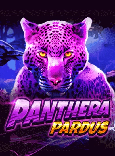Classic video slot game cover on tkapp